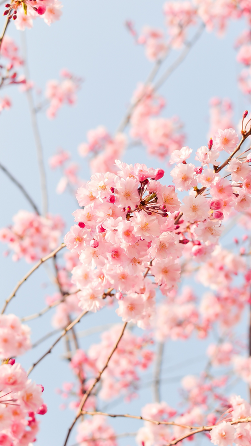 50% Off Tabđź’«