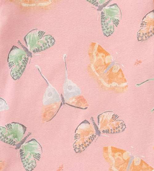 Desert Moths Sleeper