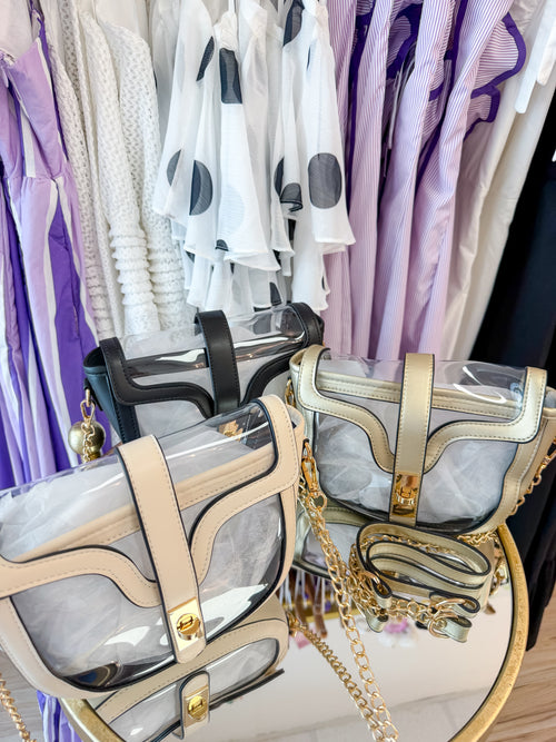 Clear Stadium Bag