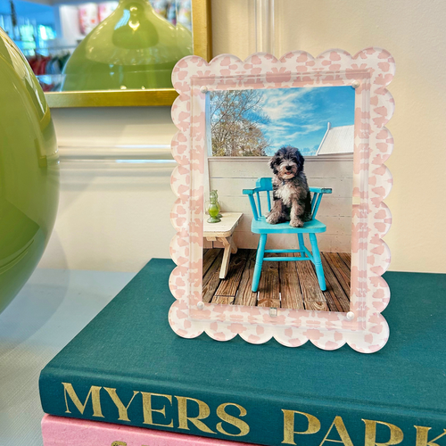 Chintz Rose Acrylic Picture Frame - Laura Park